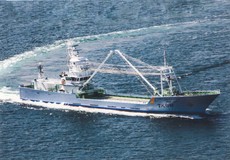 まき網漁業付属運搬船
